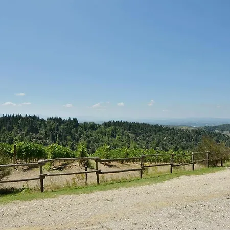 Boscaiolo